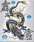 龙