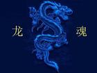 龙